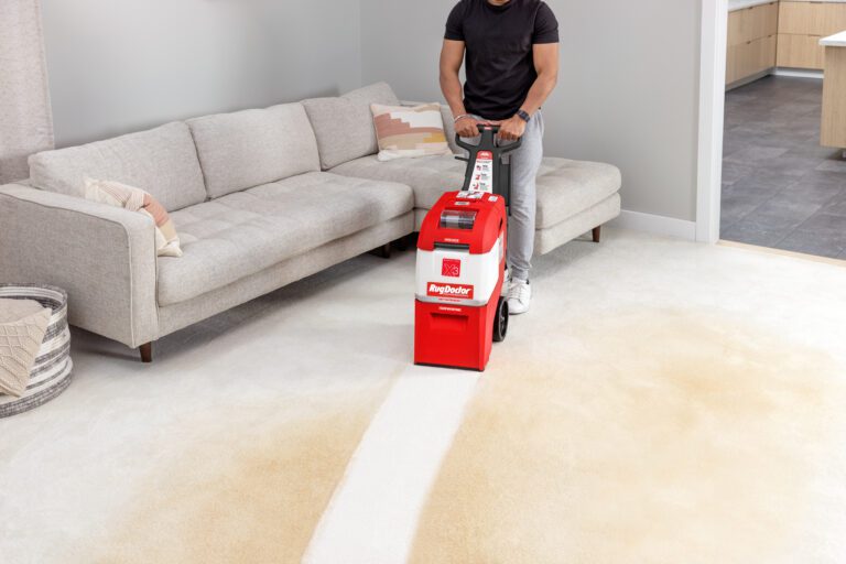 Rug Doctor X3: Worth It for a Small Hotel? | Kent Traders