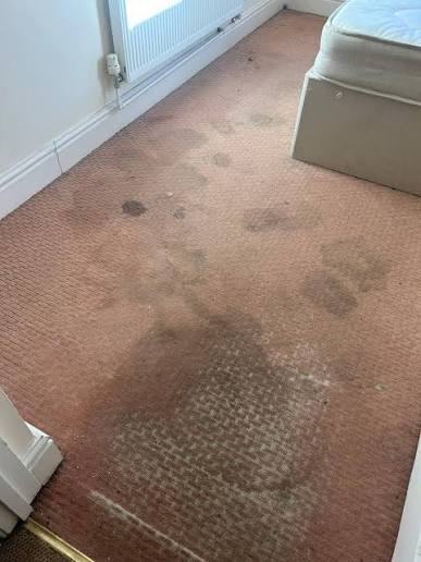 End of Tenancy Carpet Cleaning for HMO Landlords | KT