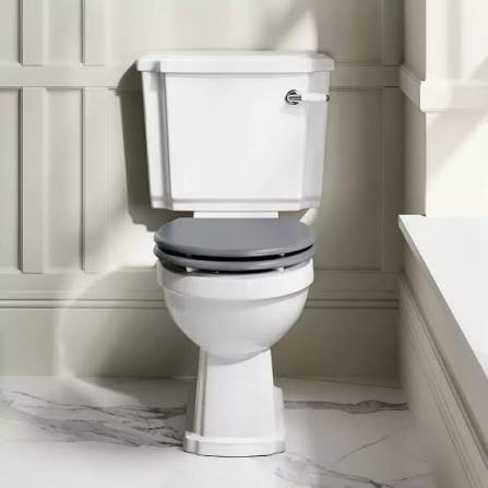 Toilet seat