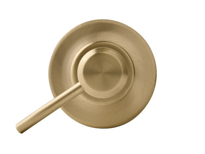 Corby Salisbury 350ml Soap Dispenser in Brushed Brass