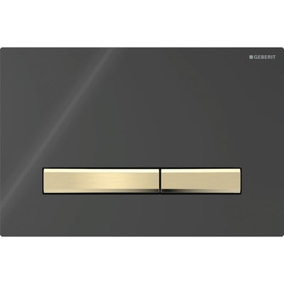 Geberit Sigma50 Square WC Dual Flush Plate - Black & Brass Black - 115.672.DW.2