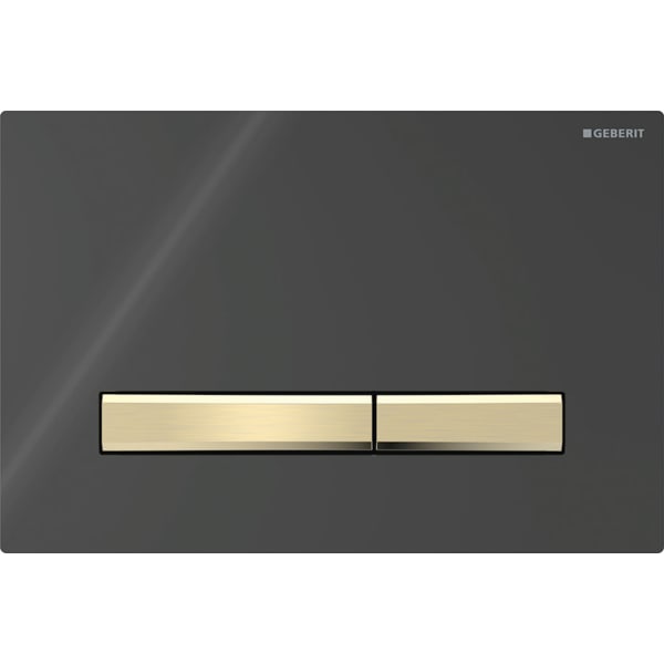 Geberit Sigma50 Square WC Dual Flush Plate - Black & Brass Black - 115.672.DW.2