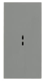 BG EMSW30KYG Euro Module 20A DP Key Switch - Grey by British General (BG-EMSW30KYG)