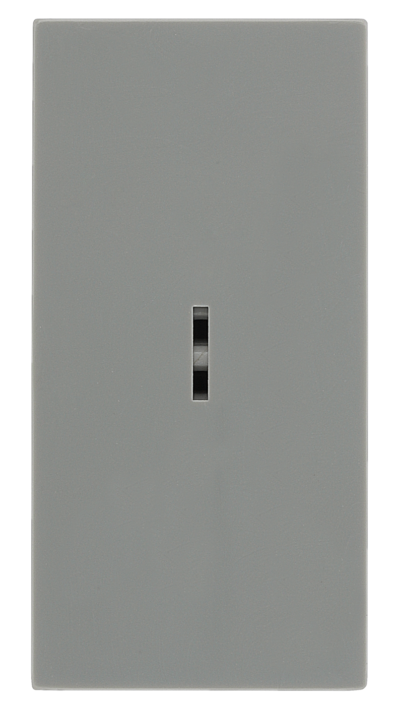 BG EMSW30KYG Euro Module 20A DP Key Switch - Grey