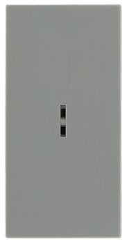 BG EMSW12KYG Euro Module 20AX 2-Way Key Switch - Grey by British General (BG-EMSW12KYG)