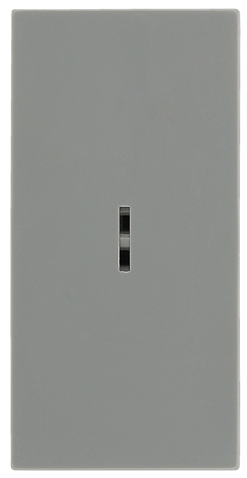 BG EMSW12KYG Euro Module 20AX 2-Way Key Switch - Grey