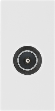 BG Nexus White EMTVMW Screened TV Outlet Euro Module Male by British General (BG-EMTVMW)