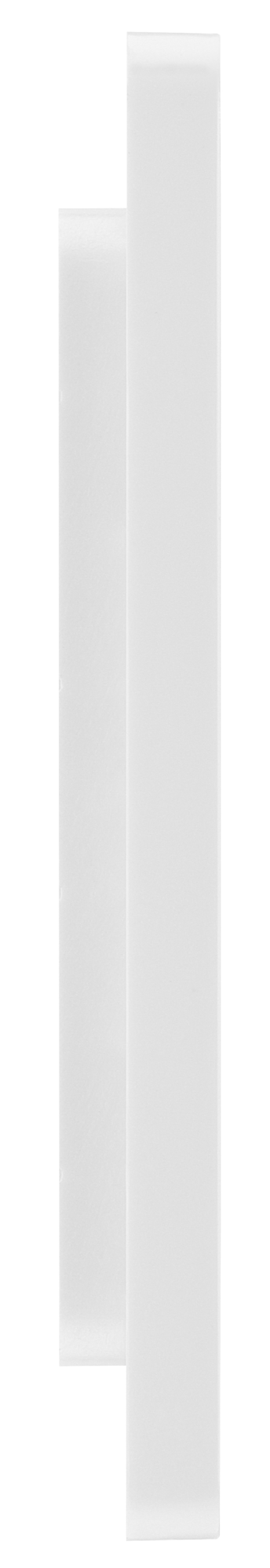 BG PCDBSEMS1W Brushed Steel Evolve 1 Euro Module Front Plate - White Insert