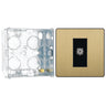 BG Evolve Satin Brass Single Co-Axial Socket PCDSB60B with 35mm Steel Back Box