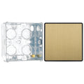 BG Evolve Satin Brass Intermediate Edge to Edge Rocker Switch PCDSB13EB with 35mm Steel Back Box