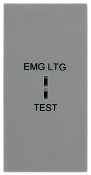 BG EMSW12ELG Euro Module 20AX 2-Way Key Switch - Grey (Emergency lighting test) by British General (BG-EMSW12ELG)