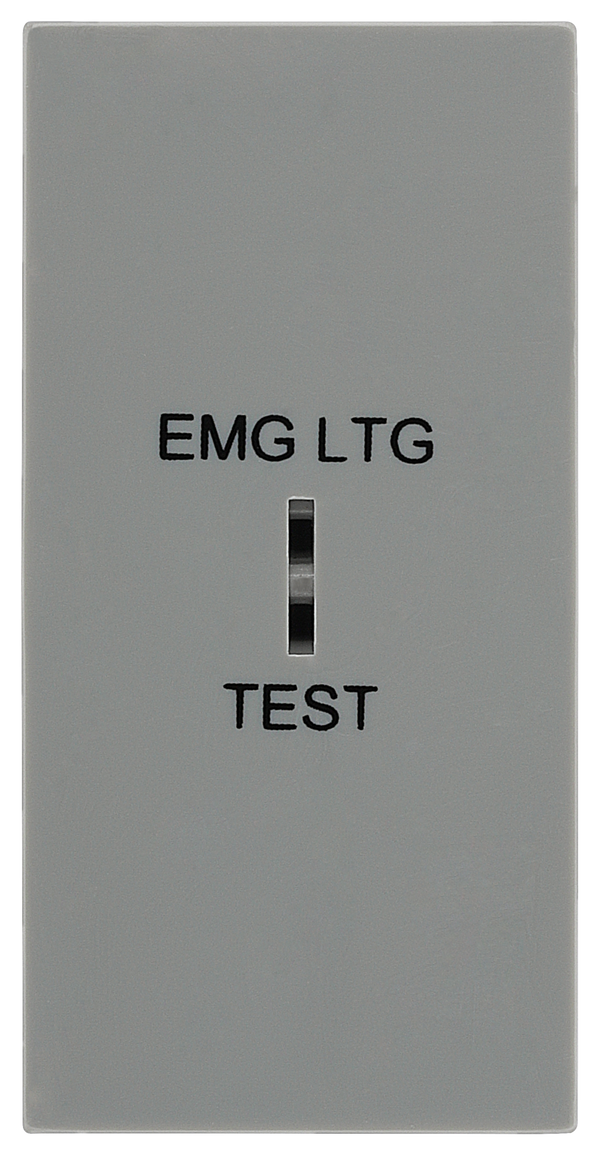 BG EMSW12ELG Euro Module 20AX 2-Way Key Switch - Grey (Emergency lighting test)