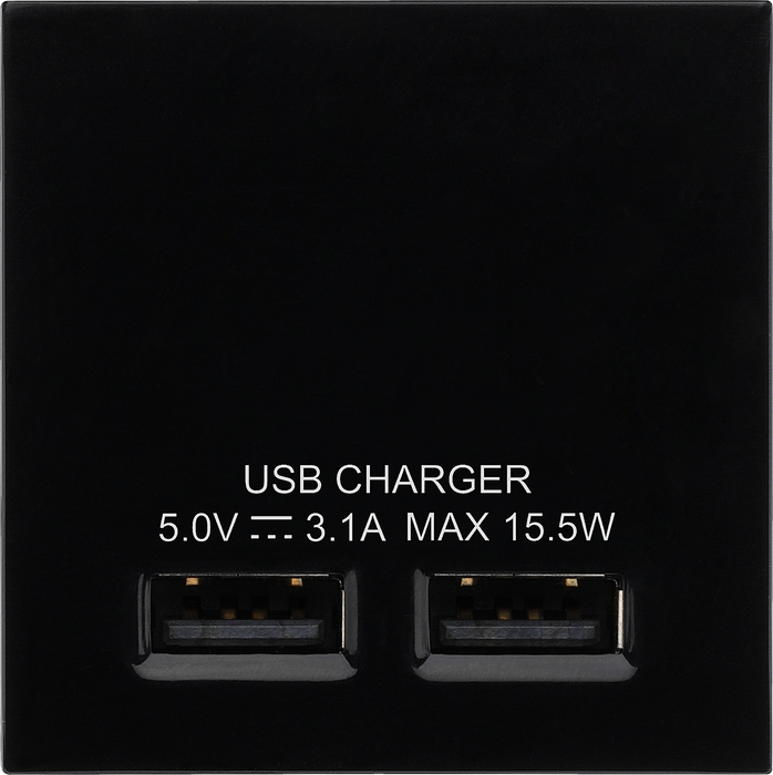 BG EMUSB3B Black 2x 3.1A USB-A 2 Module Euro Module USB Charger