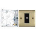 BG Nexus Antique Brass Single Satellite Socket NAB64 with 25mm Steel Back Box