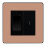 BG Evolve Polished Copper 2 Way Single Pole Key Switch with 2 Way Single Pole Switch, Key Included - Black Insert