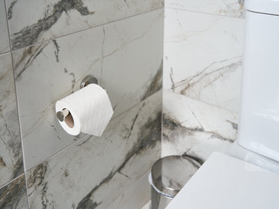 Corby Harrogate Toilet Roll Holder in Polished Steel