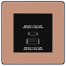 BG Evolve Polished Copper 45W USB Wall Socket Euro Module USB-A & C-Black Insert by British General (BG-PCDCPEMS2B+EMUSBAC45B)