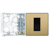 BG Evolve Satin Brass 1 Gang Master Telephone Outlet PCDSBBTM1B with 35mm Steel Back Box
