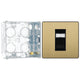 BG Evolve Satin Brass RJ45 Cat6 Single Data Outlet PCDSBRJ451B with 35mm Steel Back Box