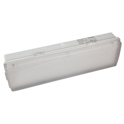 Emco 3W IP65 Slim style Maintained / Non-maintained bulkhead Auto Test & Remote Control - EMLEDBMST