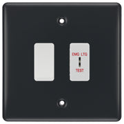BG Part M 2 Gang EMG LTG Test Key Switch with 2 Way Single Pole Switch