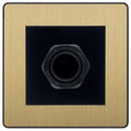 BG Evolve Satin Brass 45A Flex Outlet Euro Module | Black Insert