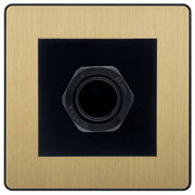 BG Evolve Satin Brass 45A Flex Outlet Euro Module | Black Insert by British General (BG-PCDSBEMS2B+EM45AFO)