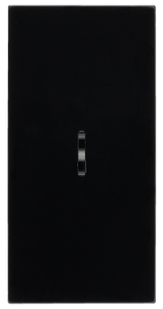 BG EMSW30KYB Euro Module 20A DP Key Switch - Black by British General (BG-EMSW30KYB)