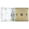 BG Nexus Antique Brass Single Coaxial Socket NAB60 with 25mm Steel Back Box by British General (BG-NAB60+HGS02)
