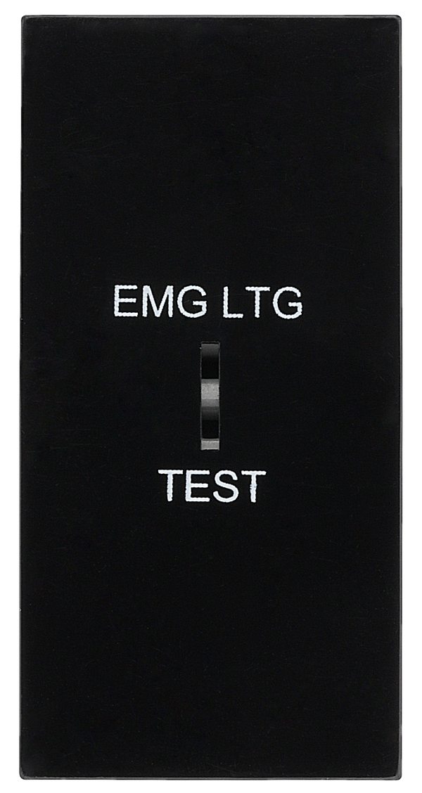 BG EMSW12ELB Euro Module 20AX 2-Way Key Switch - Black (Emergency lighting test)