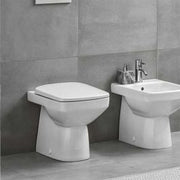 Geberit Selnova Square Toilet Seat and Cover - 500.334.01.1